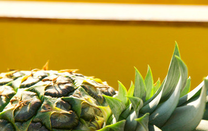 Ананас (Ananas comosus) Ананас (Ananas comosus)