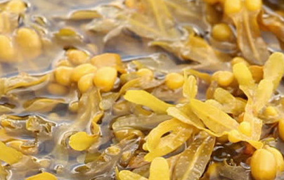 Фукуси (Rockweeds) Фукуси (Rockweeds)