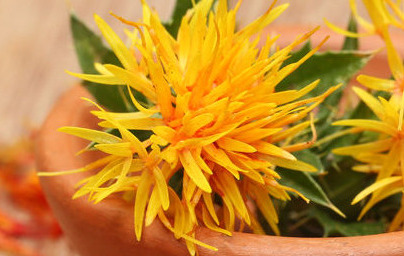 Масло от шафранка (Carthamus tinctorius) Масло от шафранка (Carthamus tinctorius)
