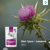 Image preview 1