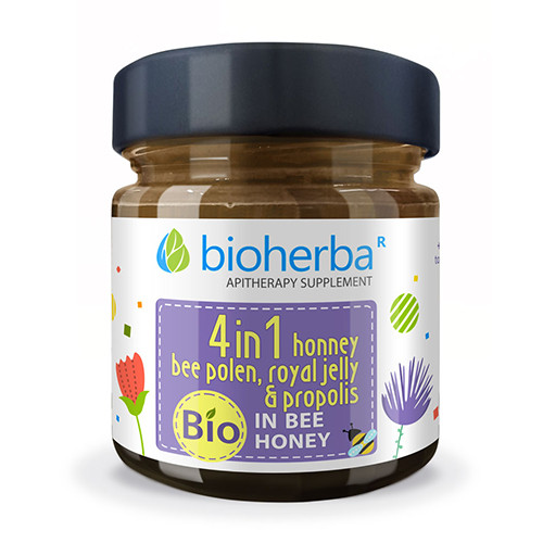 BIO komplex s medem – ApiMix, 280 g