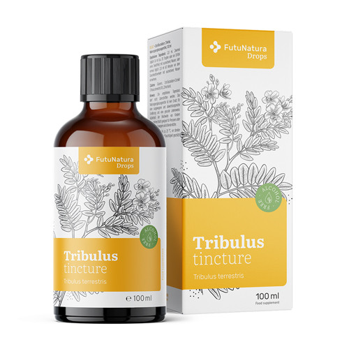Kotvičník zemní – tinktura, 100 ml