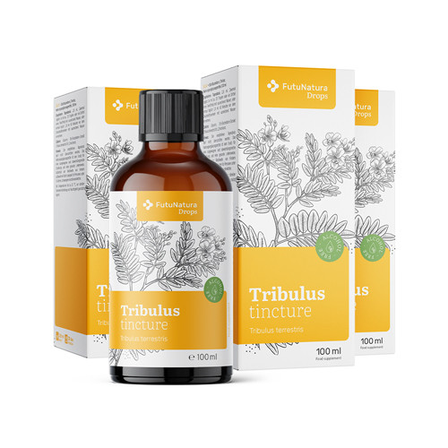 3x Kotvičník zemní – tinktura, dohromady 300 ml