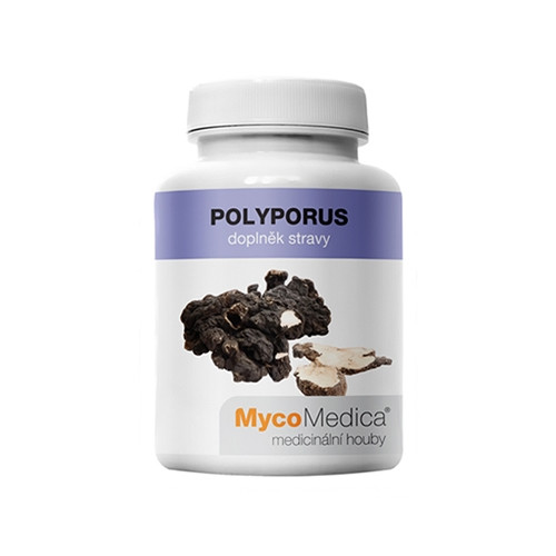 Polyporus - houby, 90 kapslí