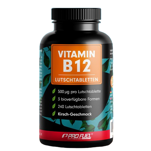 Veganský vitamín B12 – třešeň, 240 pastilek