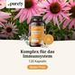 Image preview 2