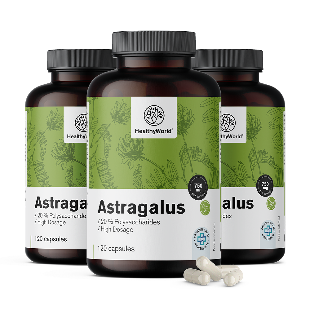 Astragalus – izvleček