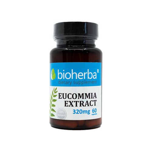 Eucommia extracto 320 mg, 60 cápsulas