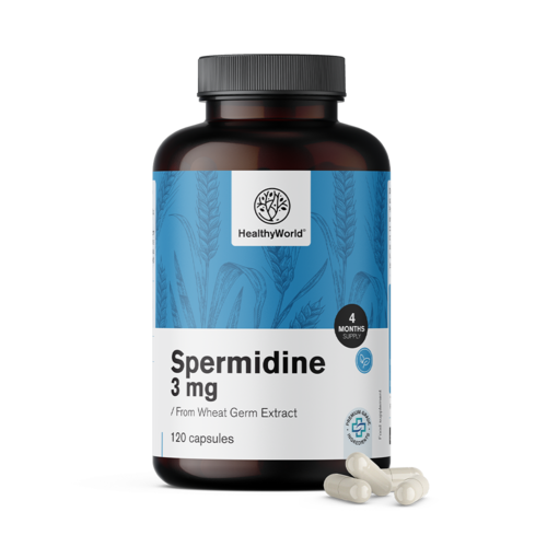 Espermidina 3 mg - de extracto de germen de trigo, 120 cápsulas