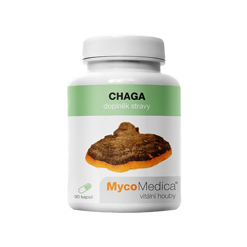 Chaga - hongo, 90 cápsulas