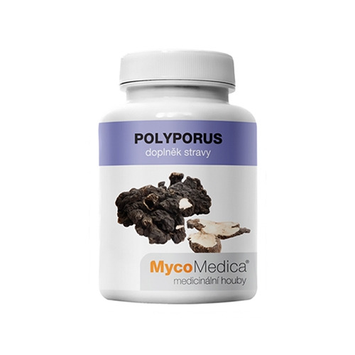 Polyporus - hongos, 90 cápsulas