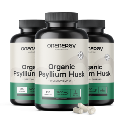 3x BIO Psilium (llantén de la India) 1400 mg, en total 540 cápsulas
