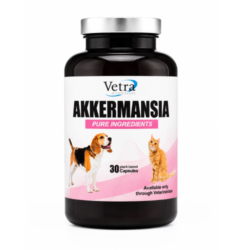 Akkermansia – pasterizovaná bakterie pro psy a kočky, 30 kapslí