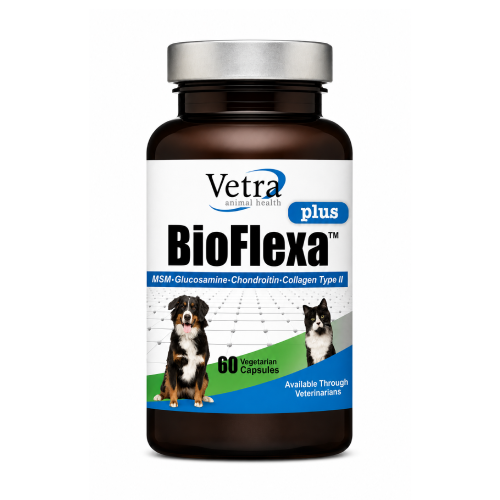 BioFlexa Plus – podpora kloubů pro psy a kočky, 60 kapslí