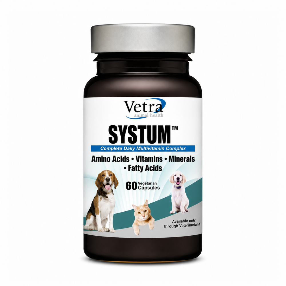 Systum – komplex vitamínů a minerálů pro psy a kočky