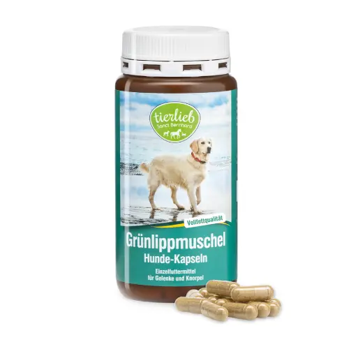 Cozza verde per cani, 150 capsule