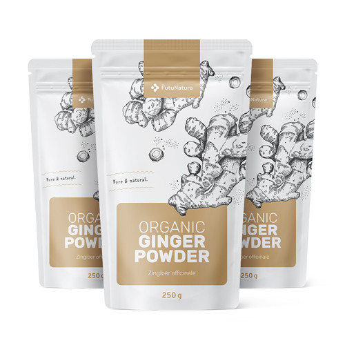 3x Gingembre en poudre BIO, ensemble 750 g