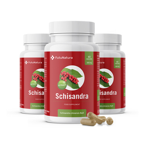 3x Schisandra - extrait, ensemble 180 gélules
