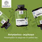 Image preview 3