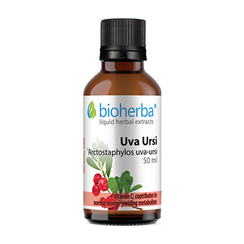 Αρκτοστάφυλος (Uva ursi) - βάμμα, 50 ml
