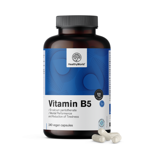 Βιταμίνη Β5 500 mg, 240 κάψουλες