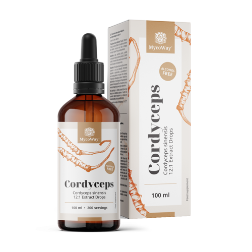 Cordyceps – εκχύλισμα σε σταγόνες, 100 ml
