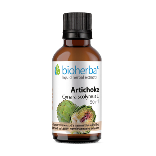 Artičoka - tinktura, 50 ml