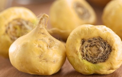 Maca (Lepidium meyenii) Maca (Lepidium meyenii)