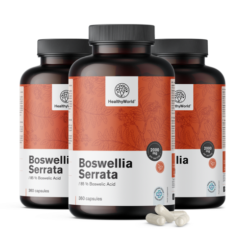 3x Bosvelija (Boswellia Serrata) – 85 % bosvelijske kiseline, ukupno 1080 kapsula