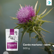 Image preview 1