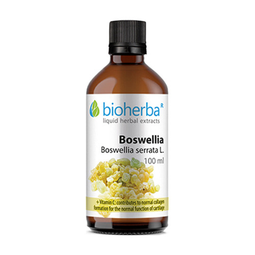 Boswellia - tinktúra, 100 ml
