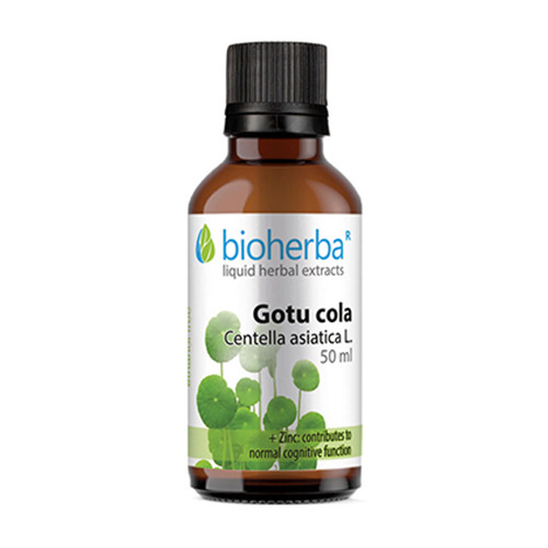 Ázsiai gázló - tinktúra, 50 ml