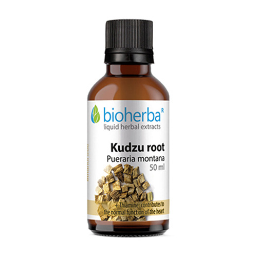 Kudzu (nyílgyökér) - tinktúra, 50 ml