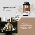 Image preview 3