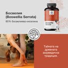 Image preview 2