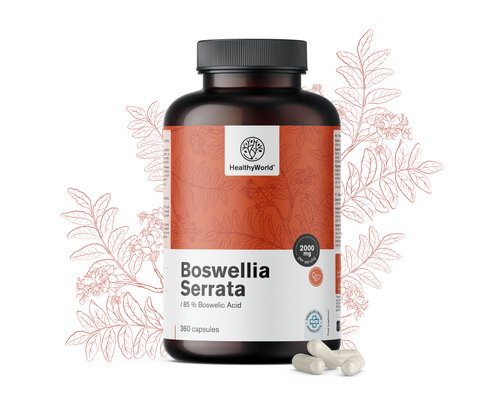 Босвелия (Boswellia Serrata) – 85 % босвелиева киселина