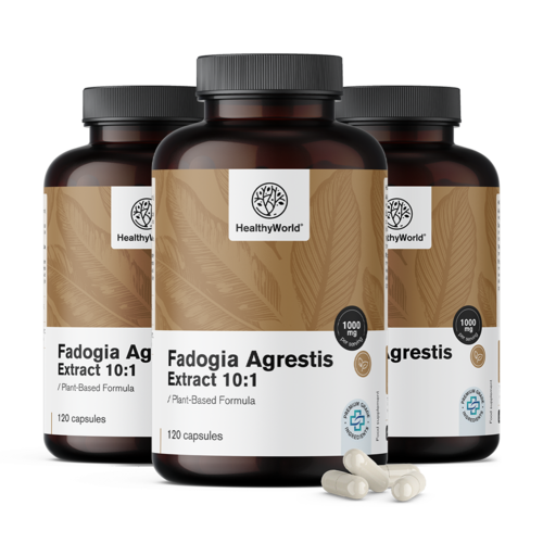 3x Fadogia Agrestis 1000 mg, en total 360 cápsulas
