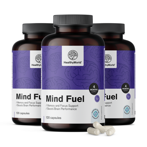 3x Mind Fuel – mémoire et concentration, ensemble 360 gélules