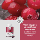 Image preview 1