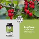 Image preview 2