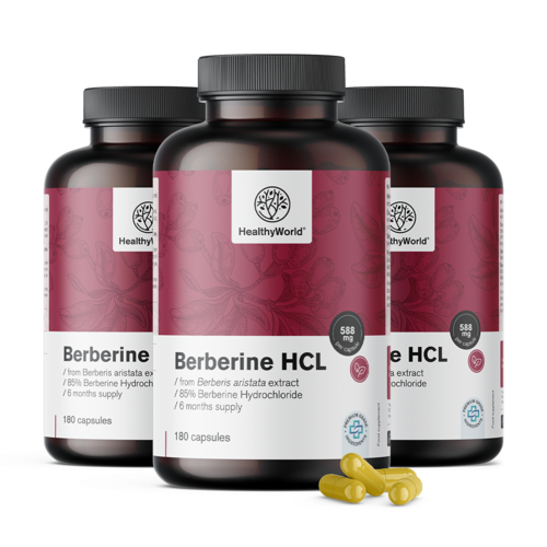 3x Βερβερίνη HCL 500 mg, συνολικά 540 κάψουλες