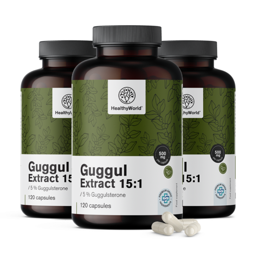 3x Γκουγκούλ 500 mg - εκχύλισμα 15:1, συνολικά 360 κάψουλες