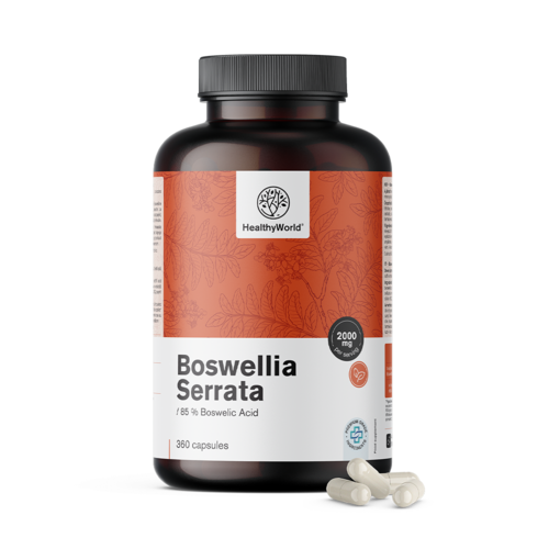 Μποσβέλια (Boswellia serrata) – 85% μποσβελικό οξύ, 360 κάψουλες