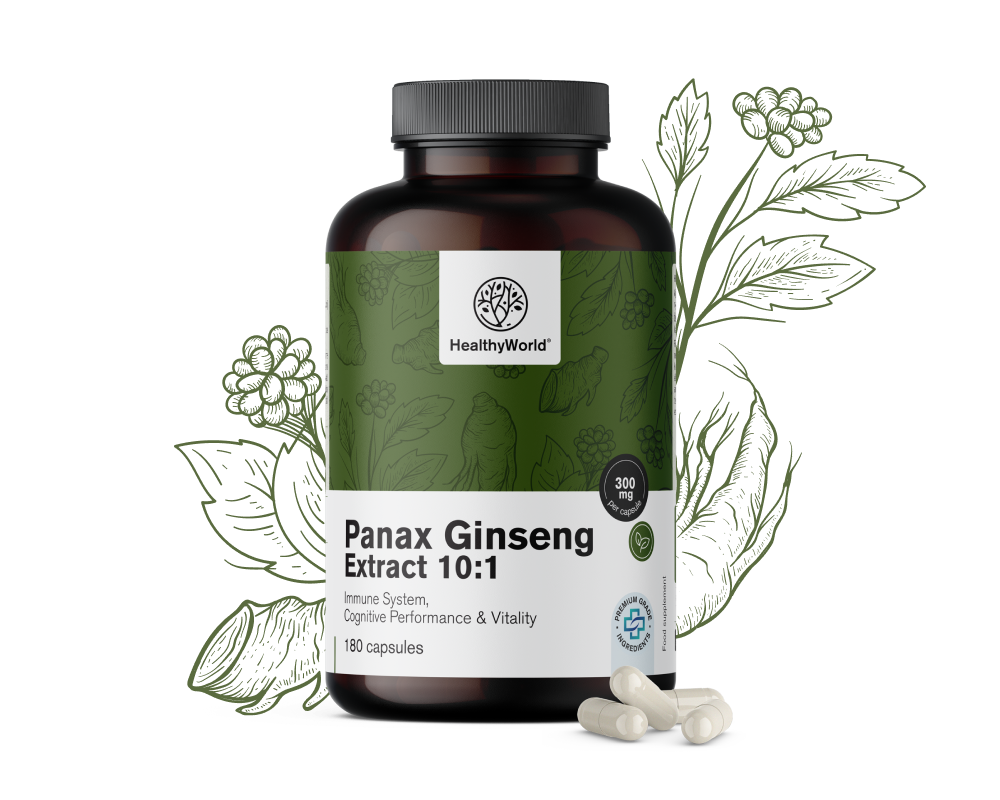 Panax Ginseng 300 mg – ekstrakt ginsenga 10:1