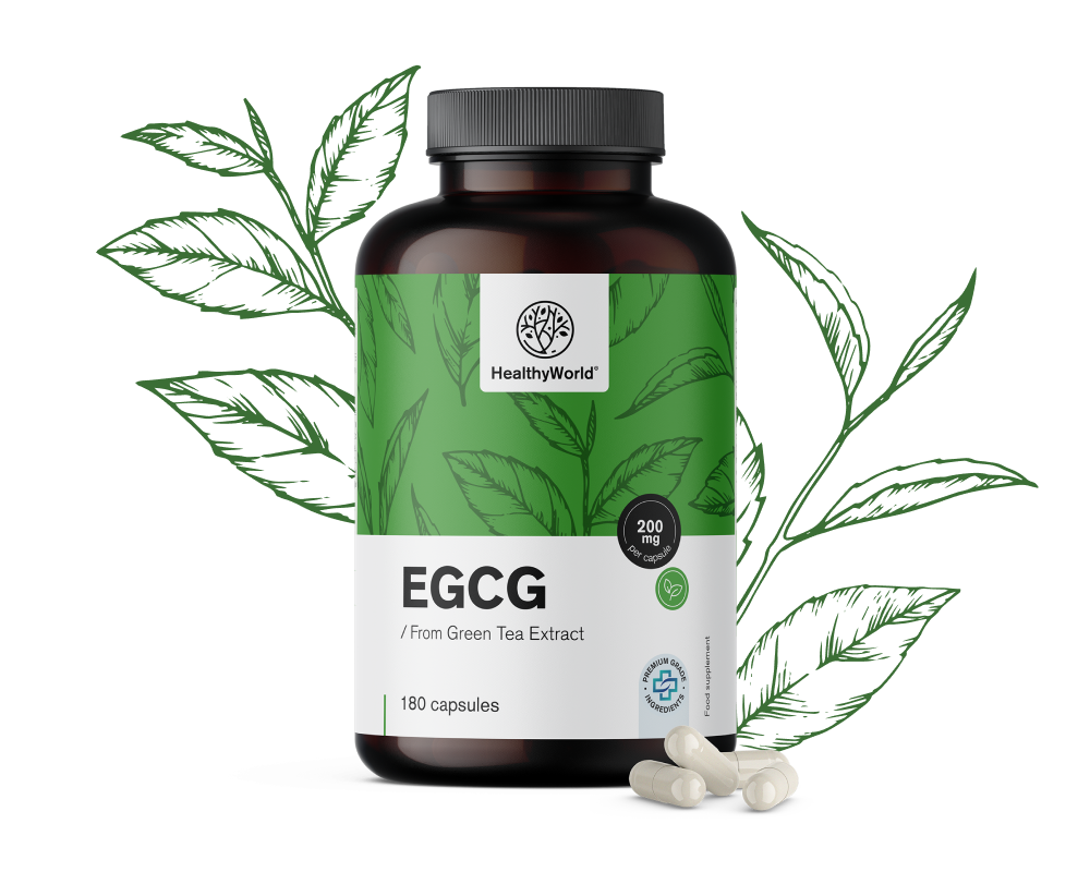 EGCG – a zöld tea kivonatából