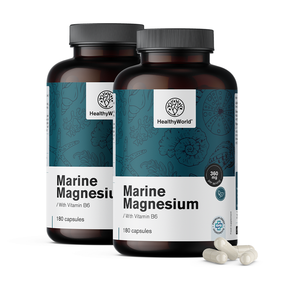 Zeemagnesium 360 mg