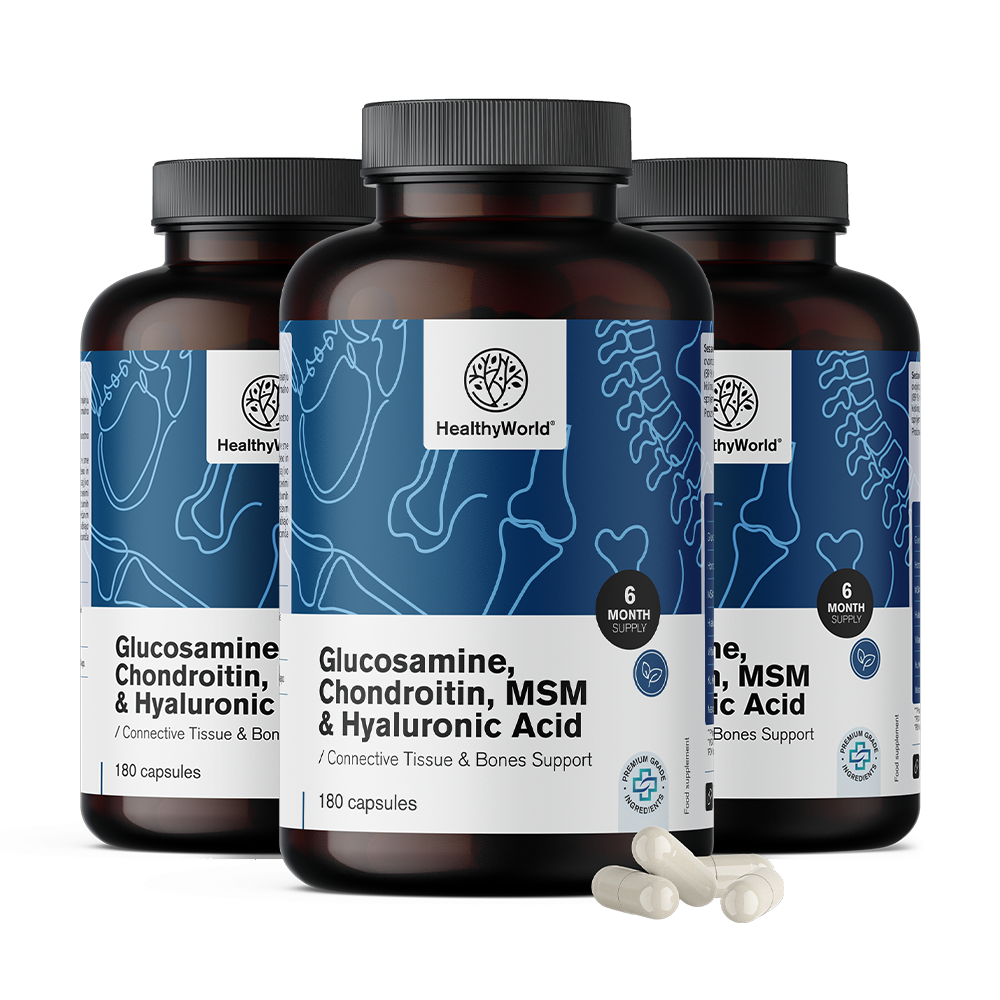 Glucosamina, condroitina, MSM e ácido hialurônico