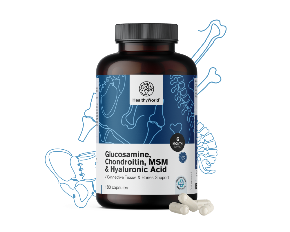 Glucosamina, condroitina, MSM e ácido hialurónico