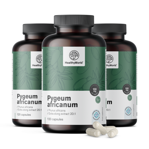 3x Pygeum – extract de prune africane, total 360 de capsule