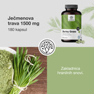Image preview 2